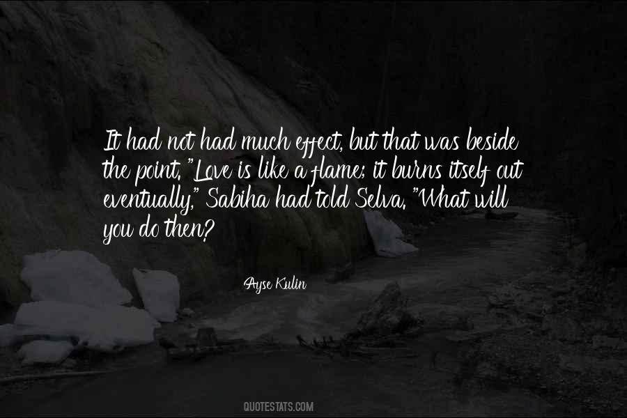 Ayse Kulin Quotes #10567