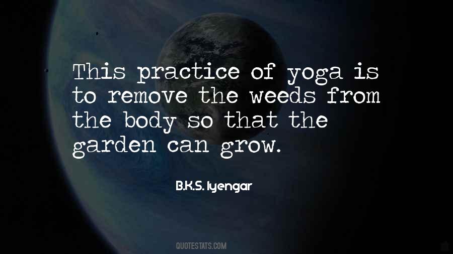 B K S Iyengar Quotes #217901