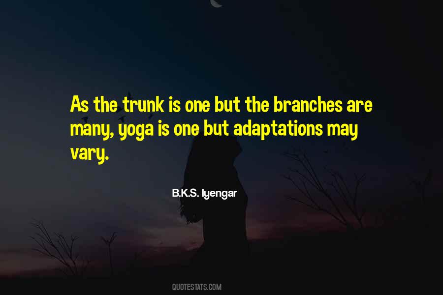 B K S Iyengar Quotes #22382