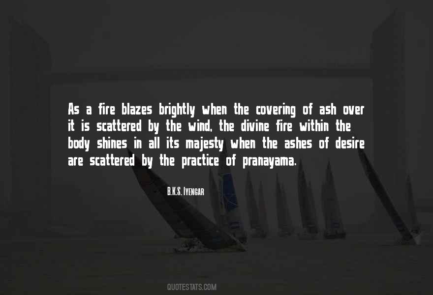 B K S Iyengar Quotes #270877