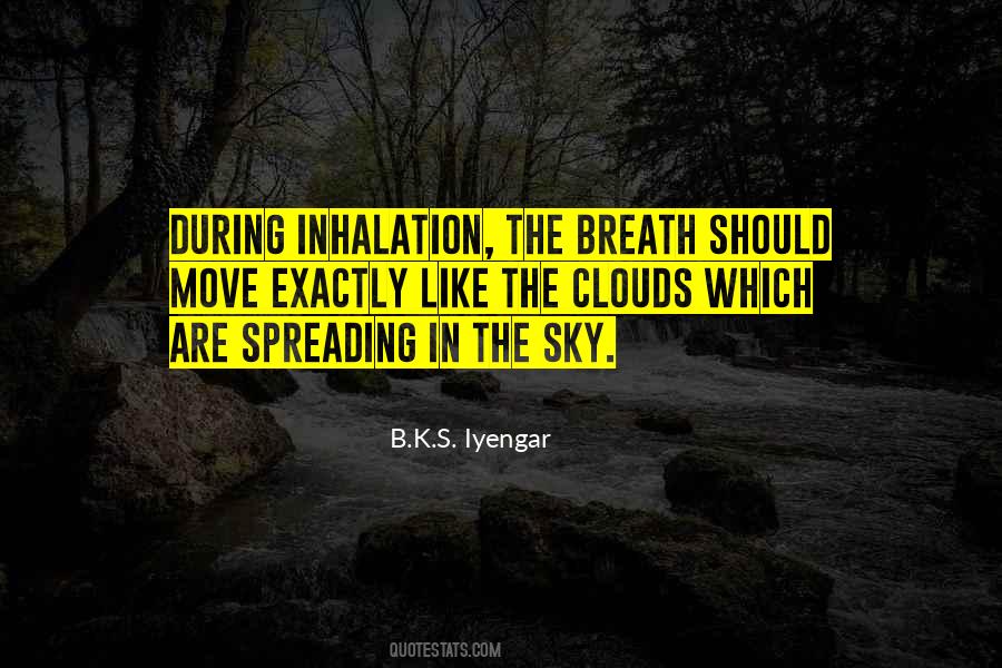 B K S Iyengar Quotes #28036