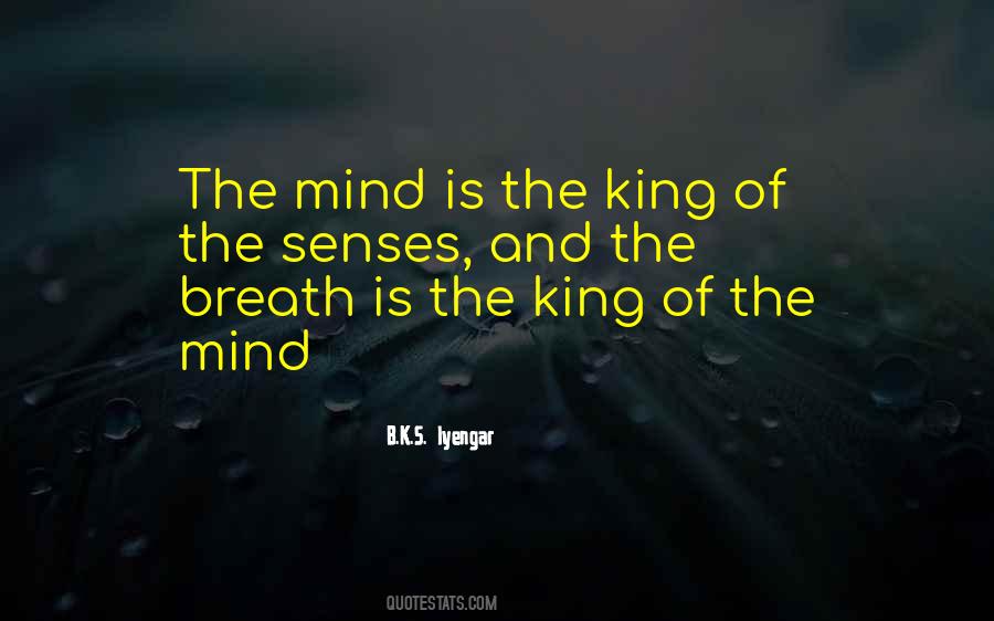 B K S Iyengar Quotes #324602