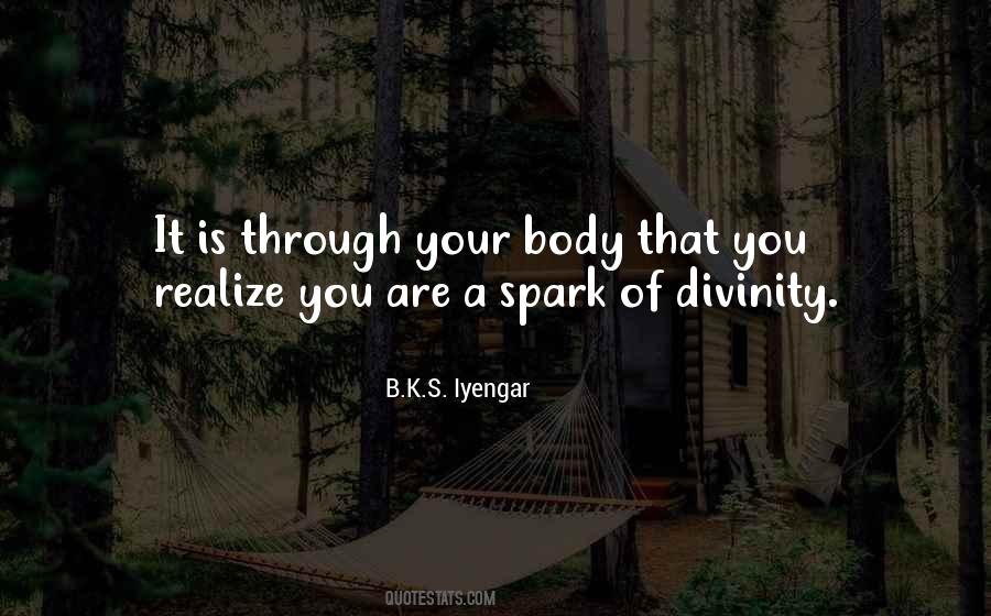 B K S Iyengar Quotes #325289