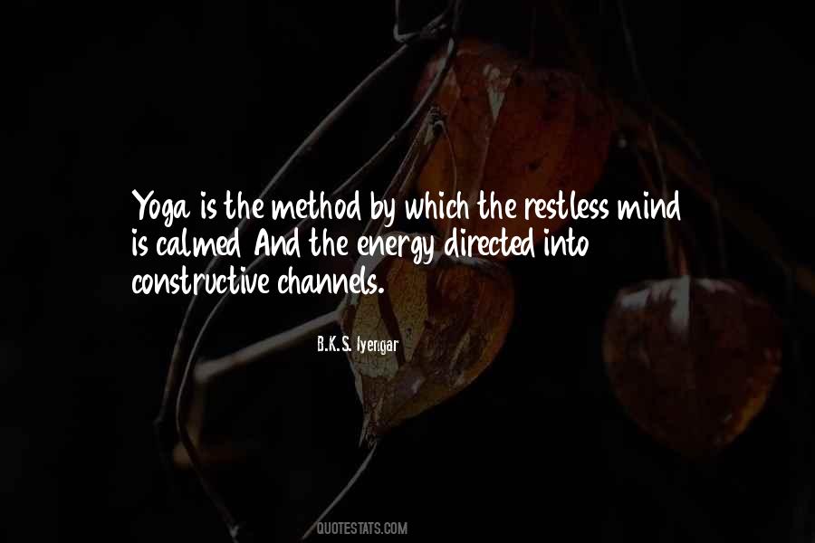 B K S Iyengar Quotes #597579