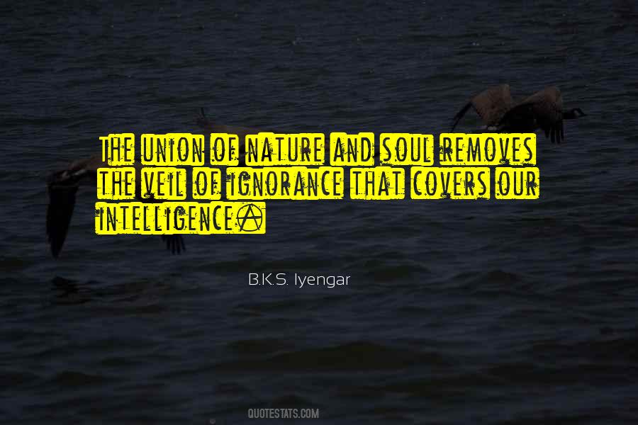 B K S Iyengar Quotes #639644