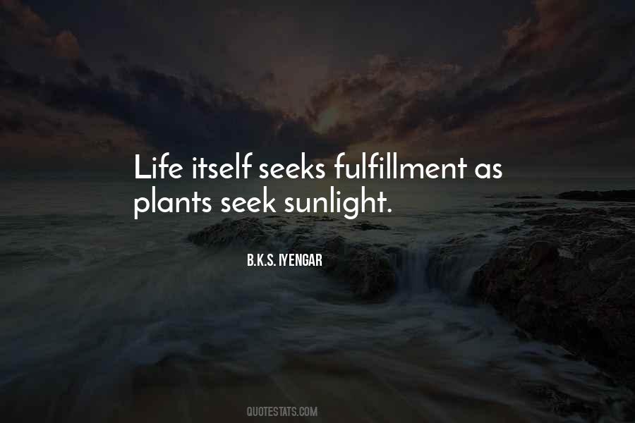 B K S Iyengar Quotes #87823