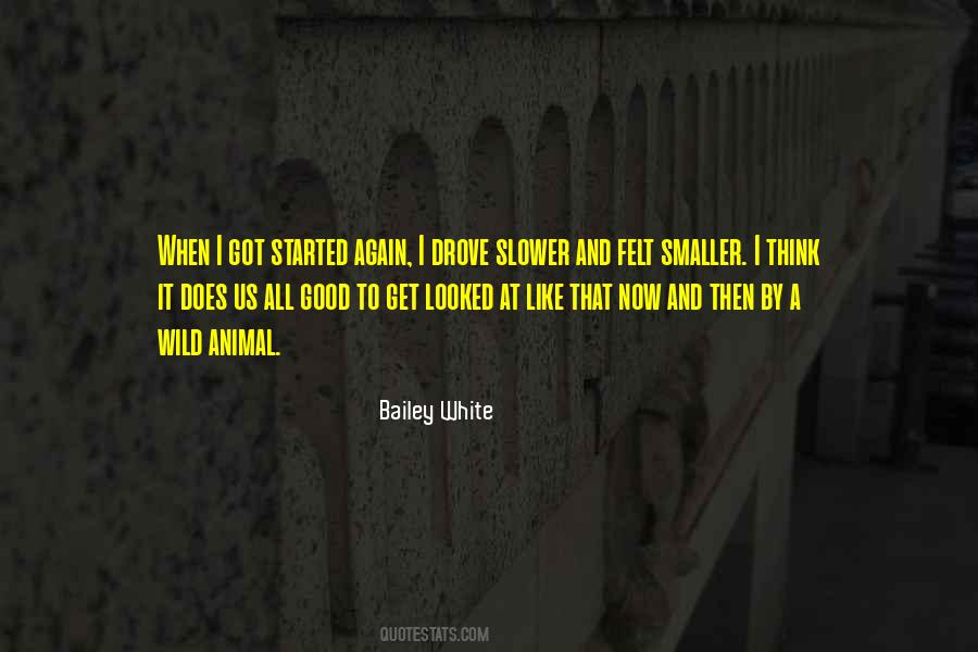 Bailey White Quotes #396254