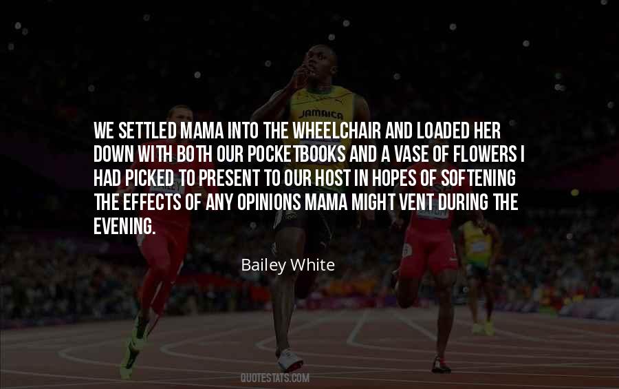 Bailey White Quotes #76323