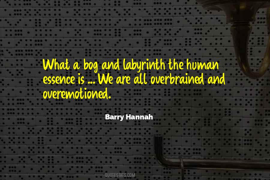 Barry Hannah Quotes #101329