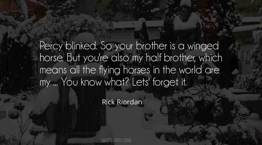 Quotes About You And Your Brother #871158