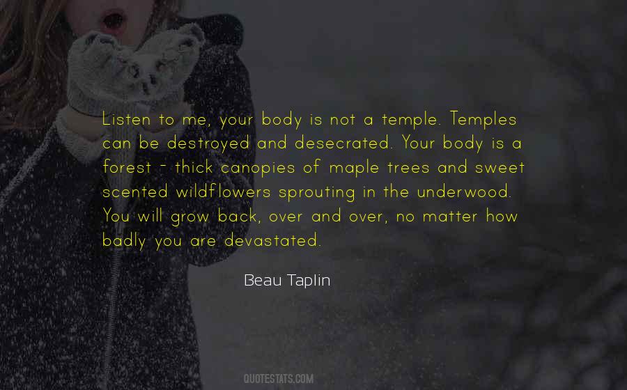 Beau Taplin Quotes #1068693