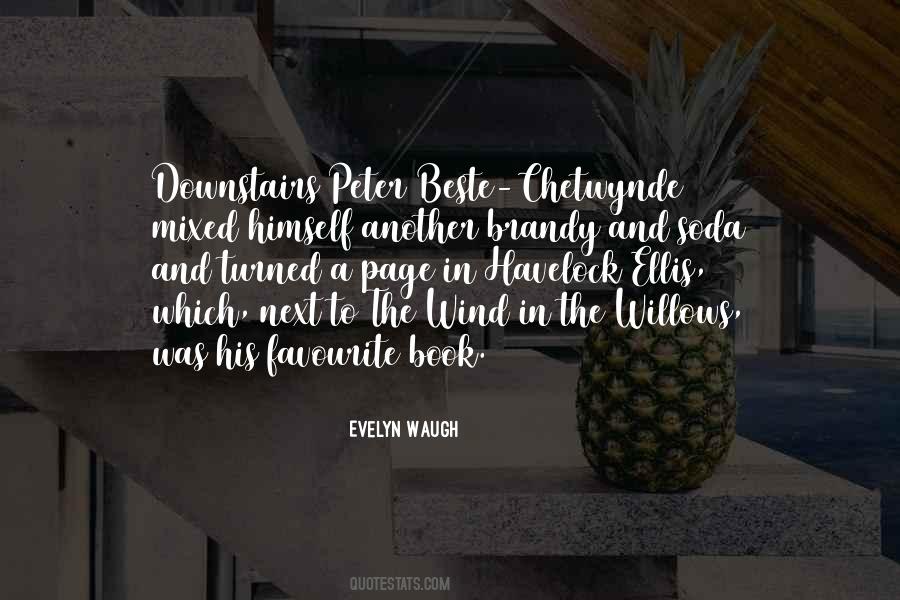 Quotes About My Favourite Book #307302