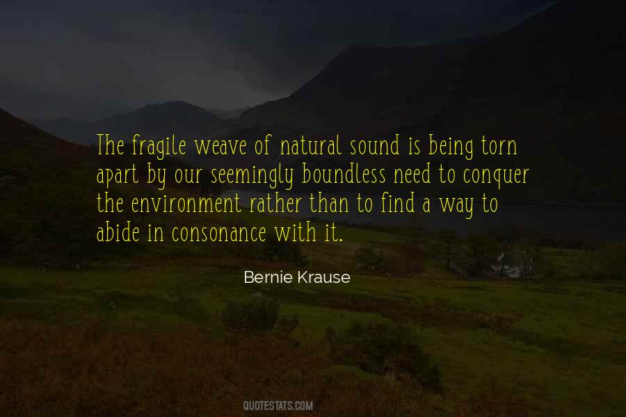 Bernie Krause Quotes #44916