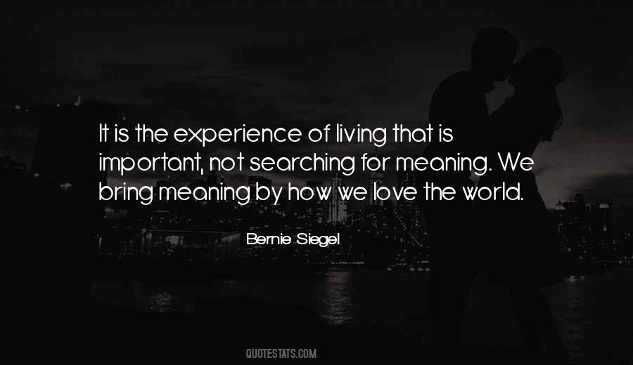 Bernie Siegel Quotes #43315
