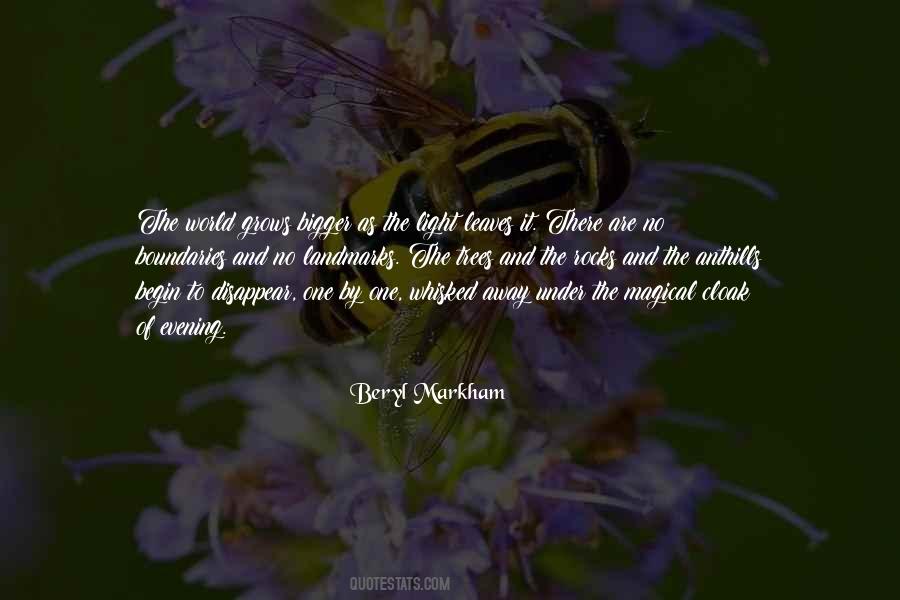 Beryl Markham Quotes #947467