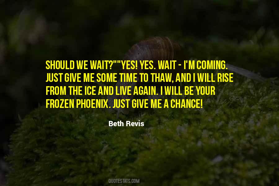 Beth Revis Quotes #474596