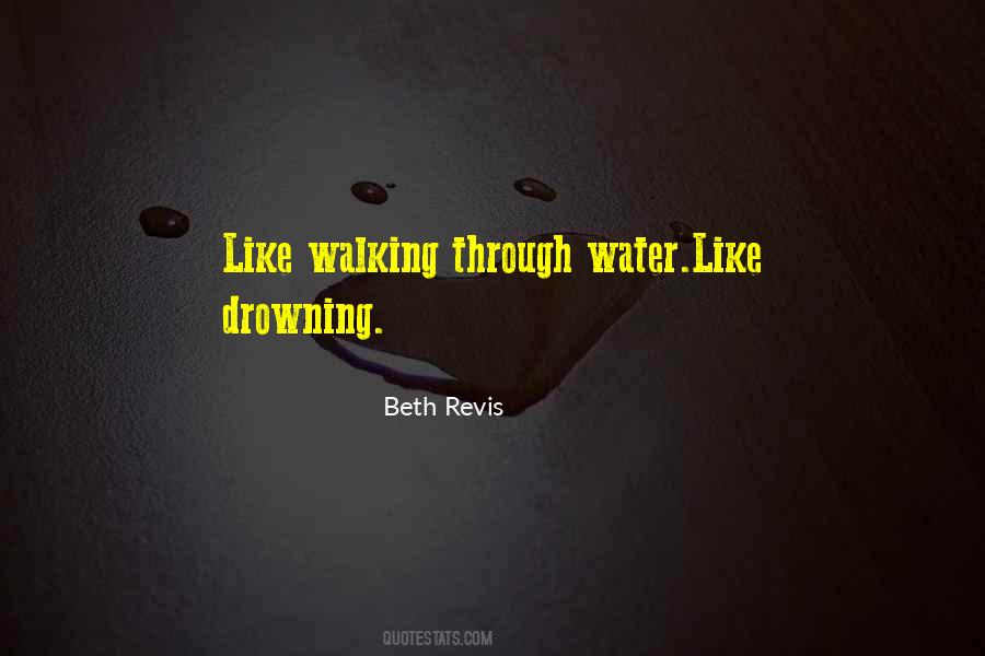 Beth Revis Quotes #645424