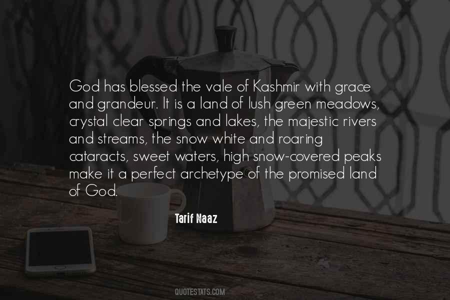 Betye Saar Quotes #312699