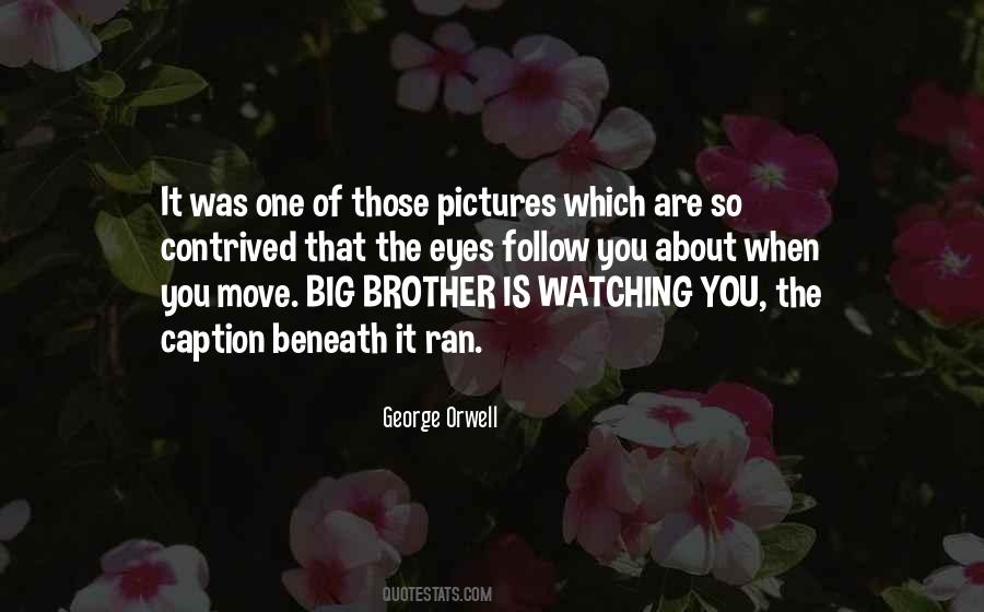 Big Brother Quotes #544391