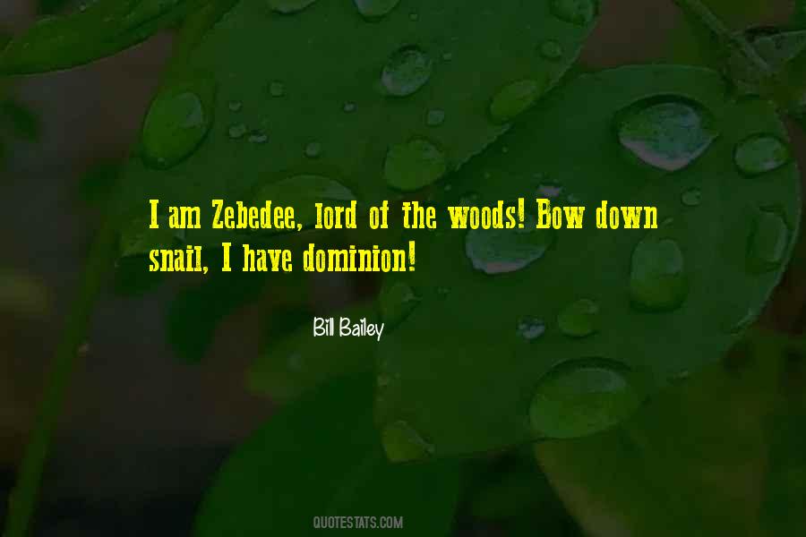 Bill Bailey Quotes #479982