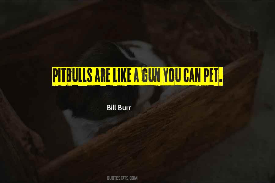 Bill Burr Quotes #996755