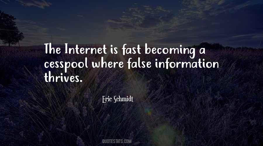 Quotes About False Information #428694