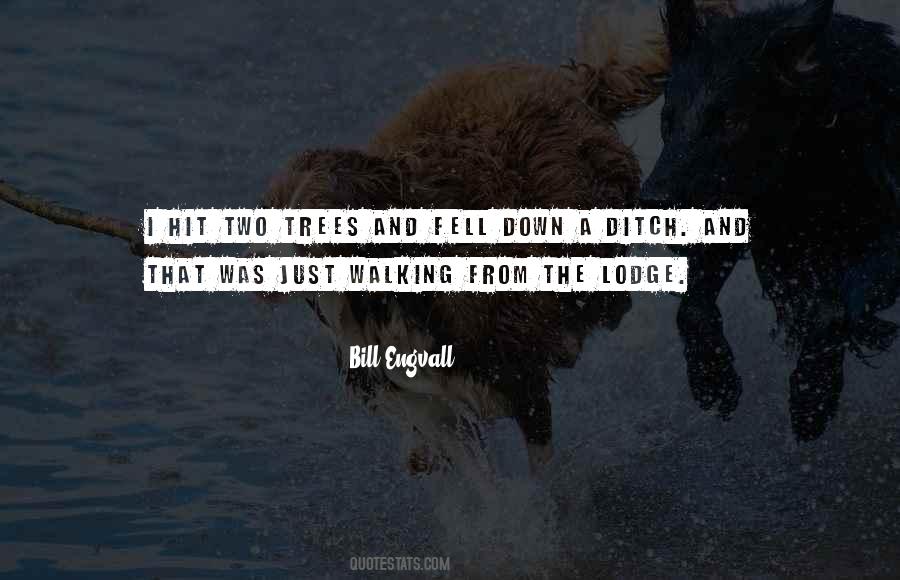 Bill Engvall Quotes #967039