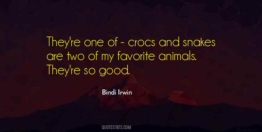 Bindi Irwin Quotes #537953