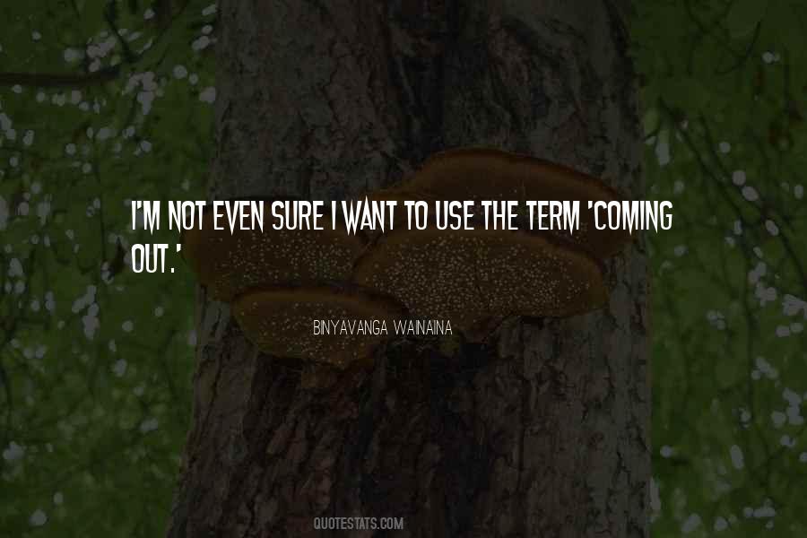 Binyavanga Wainaina Quotes #712469