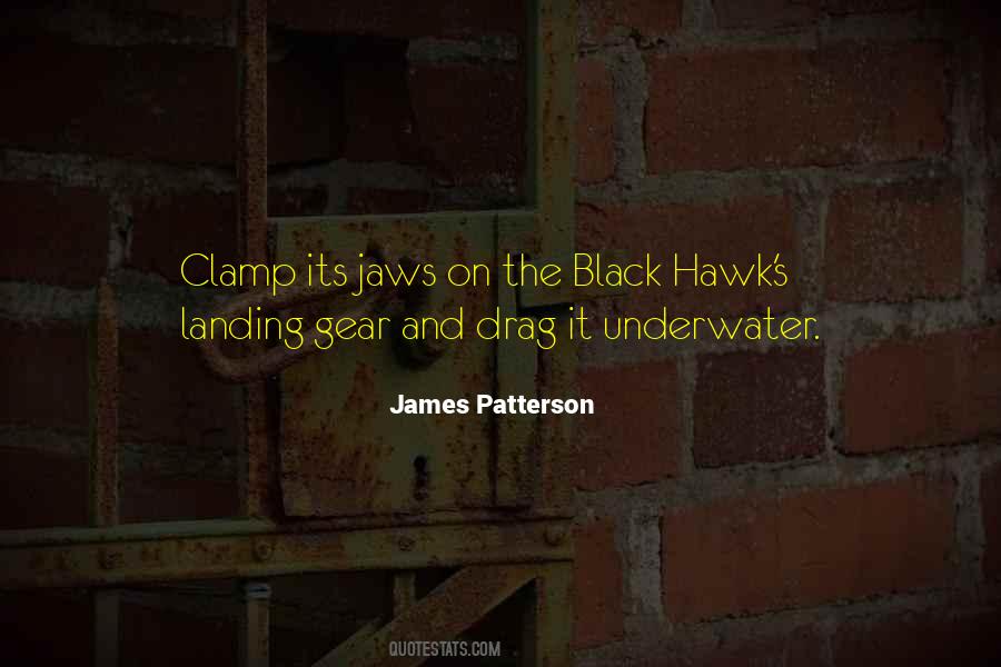 Black Hawk Quotes #133722