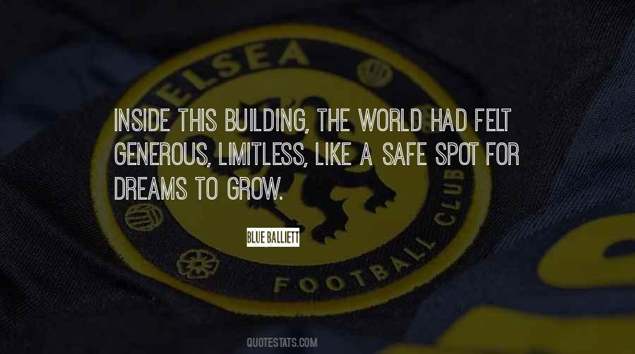 Blue Balliett Quotes #1609028