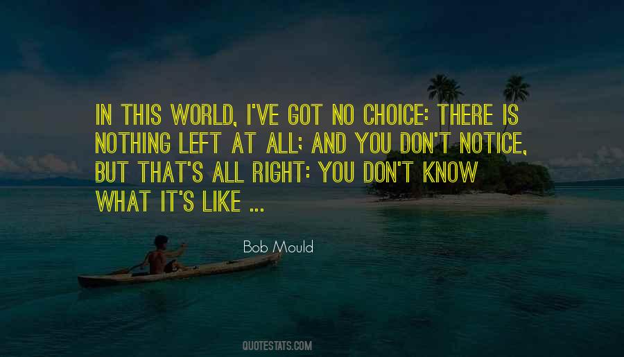 Bob Mould Quotes #1007012