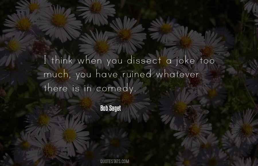 Bob Saget Quotes #1478435