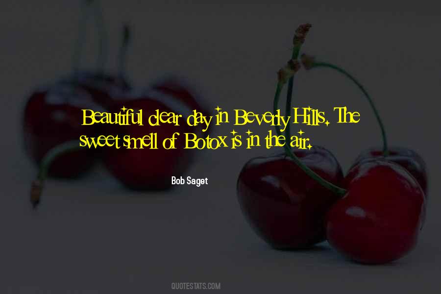 Bob Saget Quotes #1771974