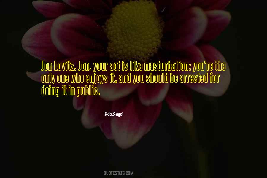 Bob Saget Quotes #381548