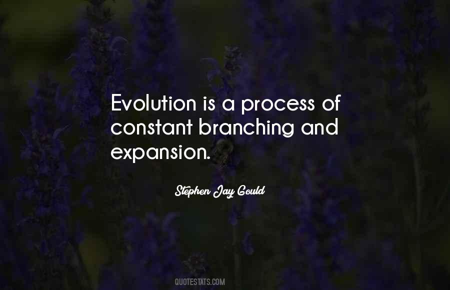 Quotes About Branching Out #1398156