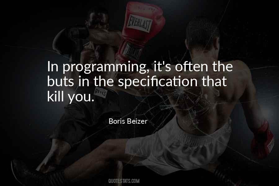 Boris Beizer Quotes #724548