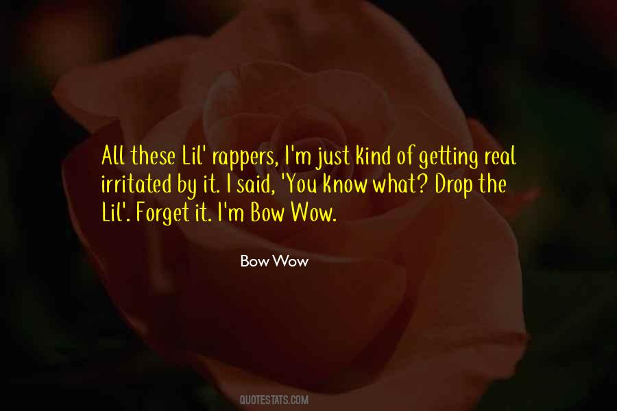 Bow Wow Quotes #1071839