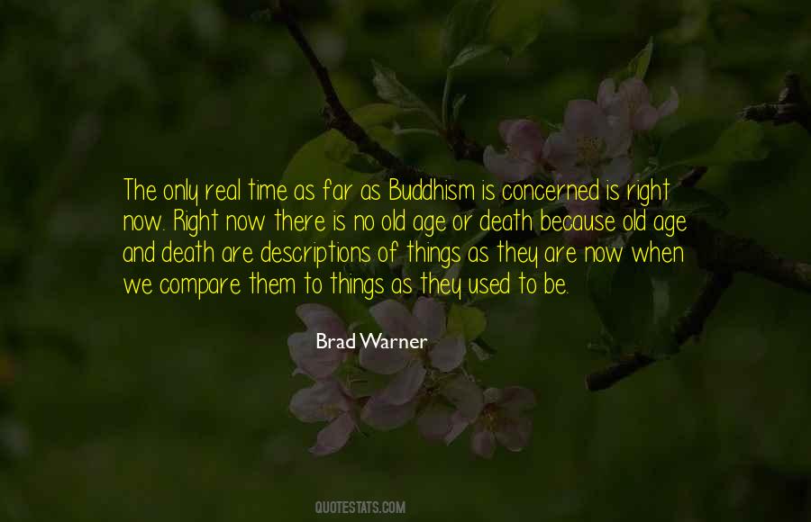 Brad Warner Quotes #690997