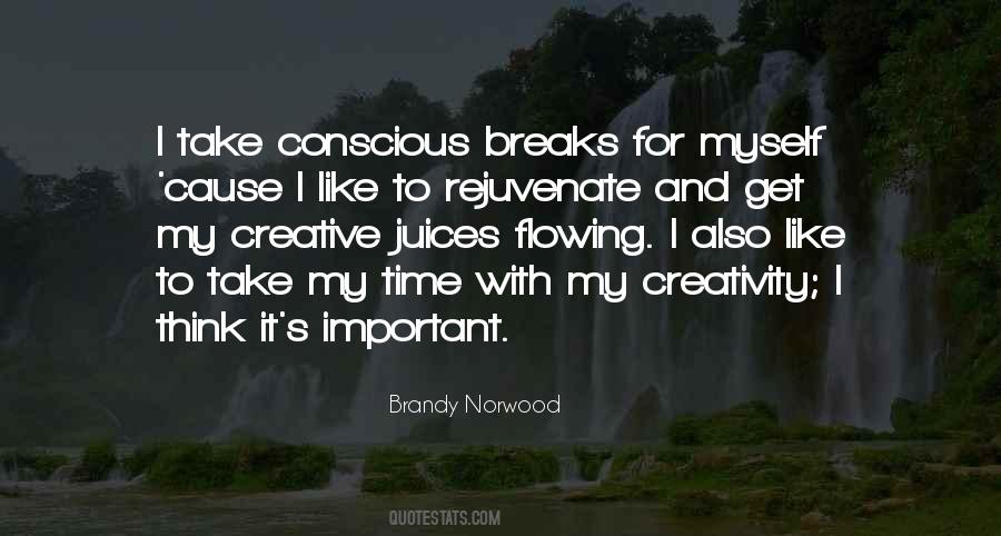 Brandy Norwood Quotes #510356
