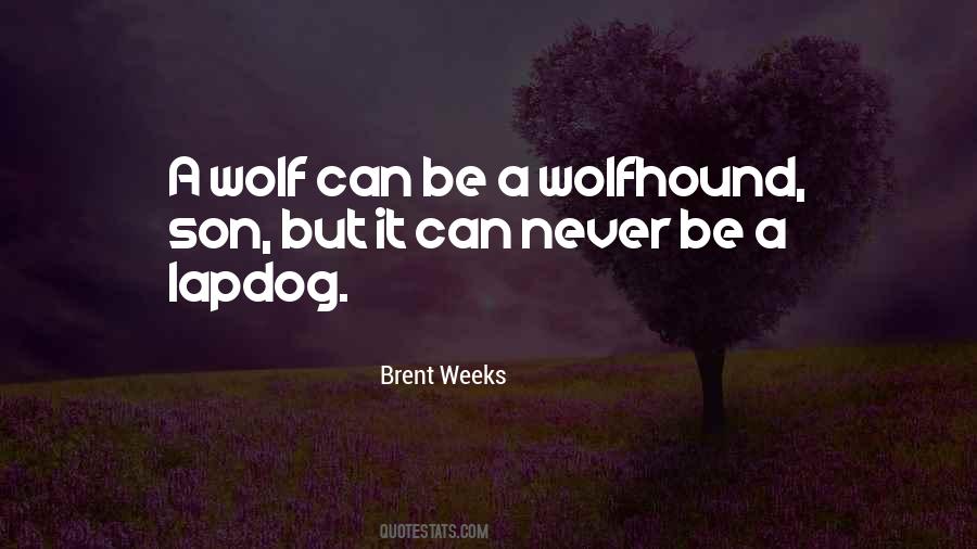 Brent Weeks Quotes #473809