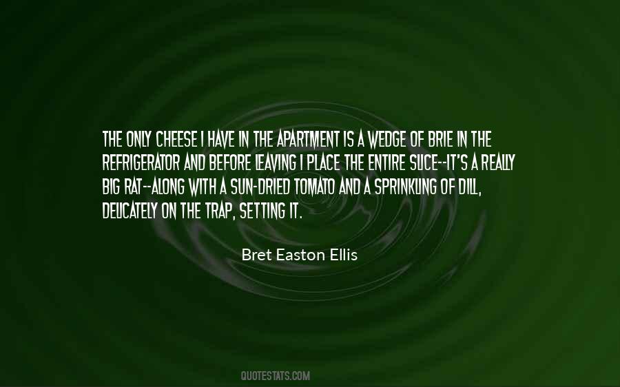 Bret Easton Ellis Quotes #476242
