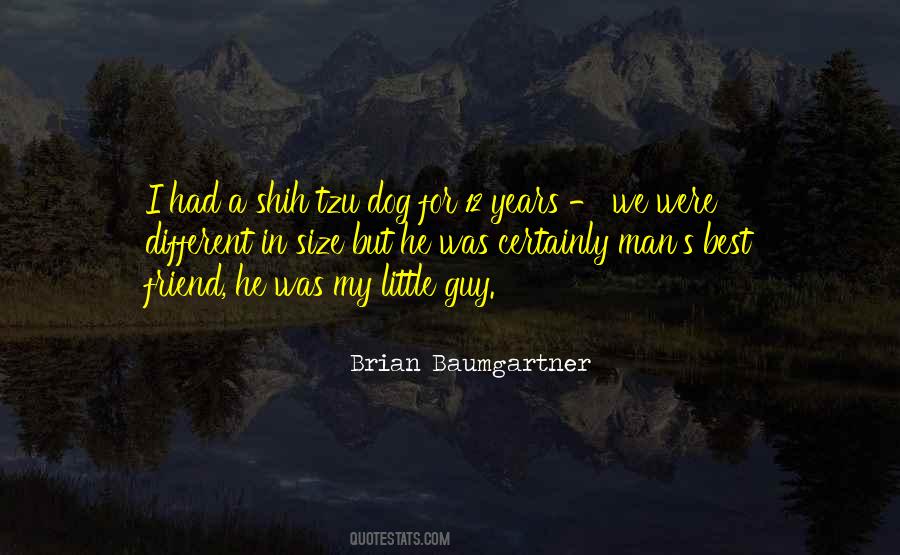 Brian Baumgartner Quotes #753811