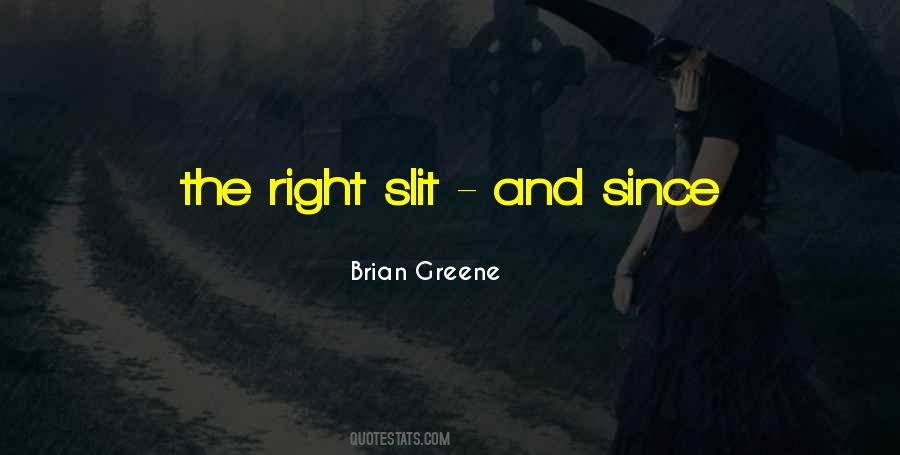 Brian Greene Quotes #186776