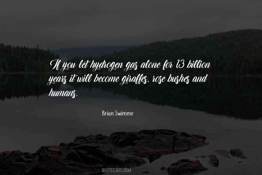 Brian Swimme Quotes #1081171