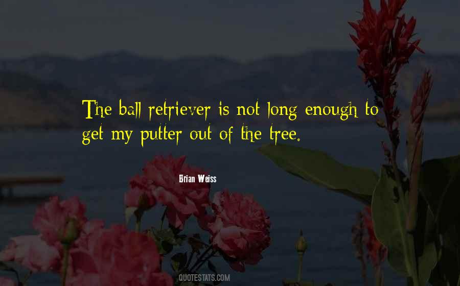 Brian Weiss Quotes #352322