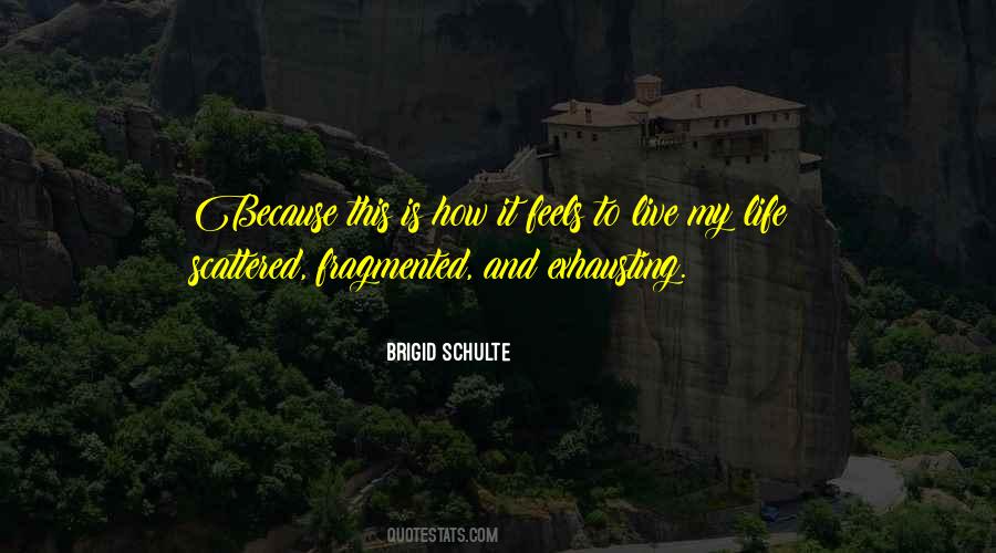 Brigid Schulte Quotes #1811926