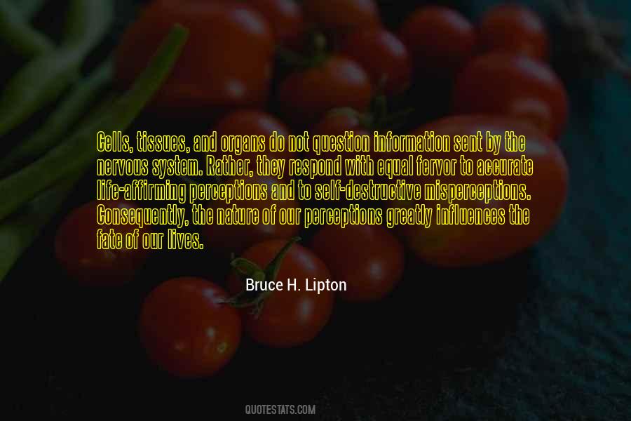 Bruce Lipton Quotes #1192564