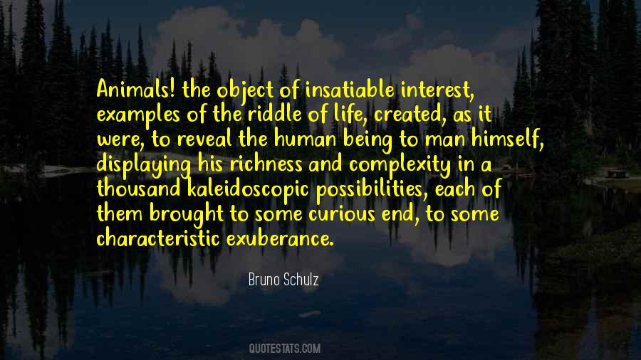 Bruno Schulz Quotes #1370460