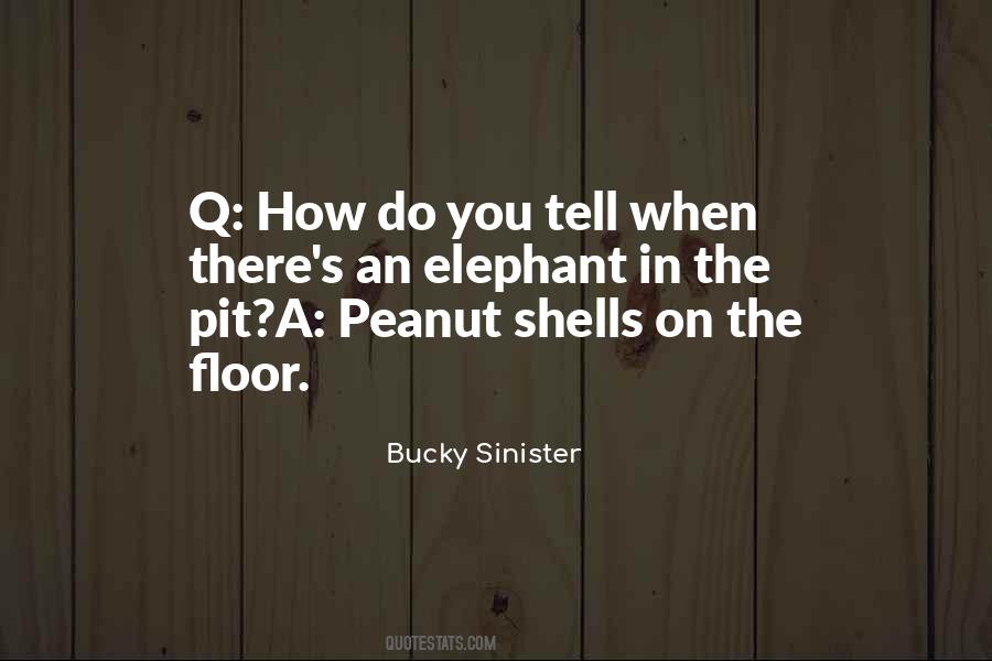 Bucky Sinister Quotes #1339850